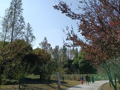 -同里国家湿地公园