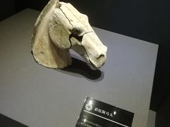 -秦始皇兵马俑博物馆-停车场