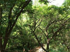 -大青沟风景区