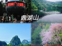 -鼎香皇高佬苏裹蒸粽