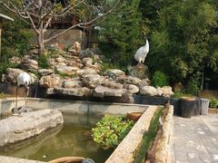 -丽泽山庄·生态怀柔菜·虹鳟鱼(红螺寺店)
