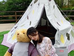 -济州岛泰迪熊博物馆