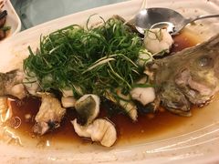 桂鱼-朱仔记食府(江南大道店)