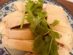 -九斤黄三黄鸡专卖店