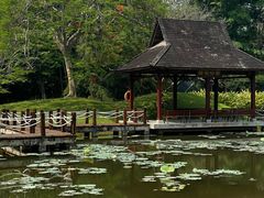 -中国科学院西双版纳热带植物园