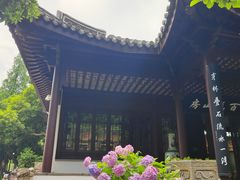 -无锡蠡湖国家湿地公园-蠡园