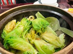 啫啫生菜煲-陶陶居酒家(第十甫路总店)