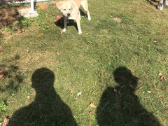 -杭州六谷生态休闲农庄有限公司