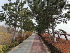 -石老人观光园