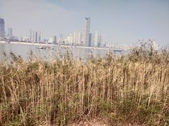 -武昌江滩