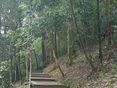 -广州市石门国家森林公园