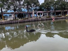 -苏州太湖西山岛开心农场