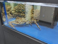 -燕莎奥特莱斯购物中心