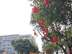 -越秀西湖花市(广州城市广场花卉店)