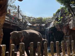 -长鹿旅游休博园