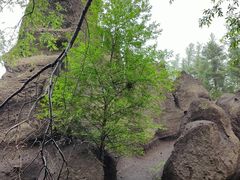 -峡谷浮石林景区