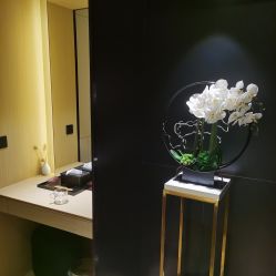 -娇莉芙美颜SPA连锁