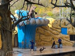 -南京金牛湖风景区