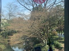 -闻莺馆(柳浪闻莺店)