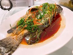 -深圳机场凯悦嘉轩酒店