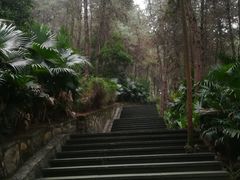 -铁山坪森林公园