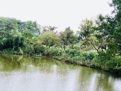 -木守西溪溪隐餐厅