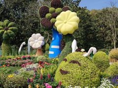 -上海共青森林公园