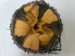 -宾朋海鲜特色美食餐厅·纯手工鲅鱼水饺(兴海路店)