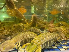 -顺德了能馆(虎门店)