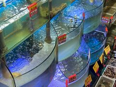 水产区-蔚海之都·象山蒸汽海鲜(仙霞路店)