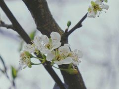 -桤木河湿地公园