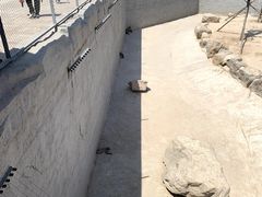 -太原动物园
