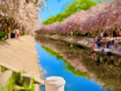 -星巴克(北京望京店)