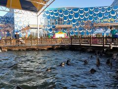 -华夏文旅海洋公园