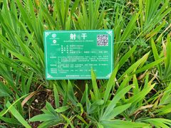 -广西壮族自治区药用植物园