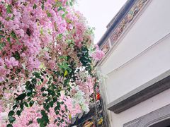 -深圳国际园林花卉博览园