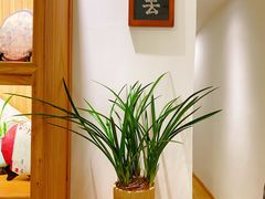 -隆德堂青瓷艺术·茶馆(故宫店)