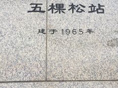 -中国人民解放军总医院(301医院)