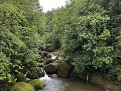 -龙苍沟森林公园