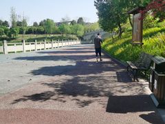 -眉山湿地公园(东坡区)