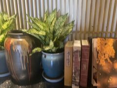 -丹江渔村(望京店)