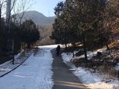 -阳台山自然风景区