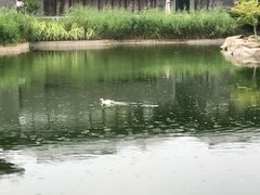 -鹦鹉寺公园