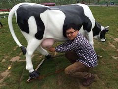 iphone_upload_pic-荷兰花海