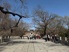 -北陵公园