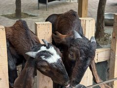 -水上乐园·欢乐世界