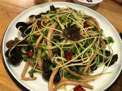 茶树菇豆苗炒木耳-陈傻子餐厅(世纪都会店)