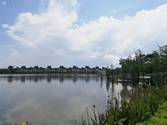 -美的鹭湖探索王国