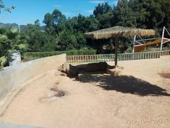 -泉州海丝野生动物世界