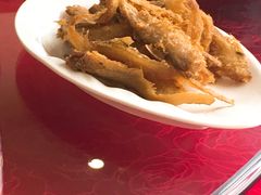 -明珠湖天鹅苑·农家菜馆